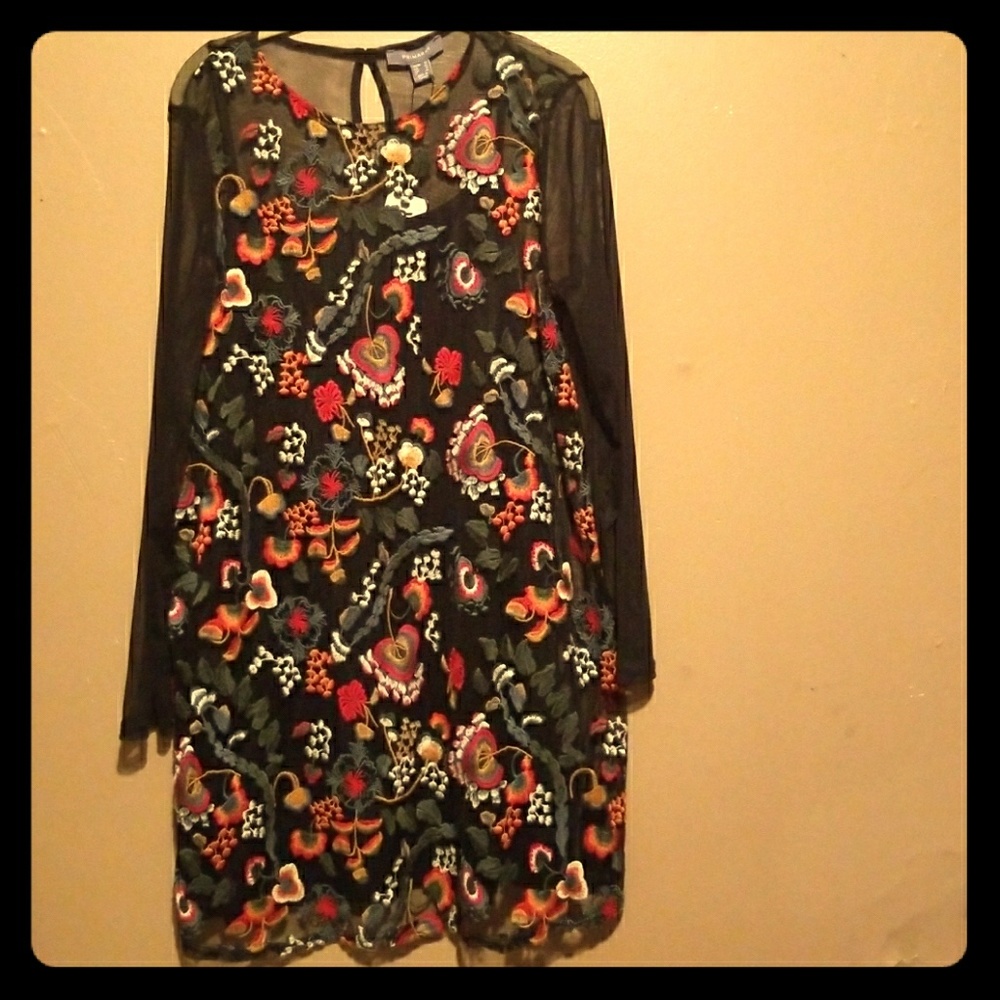 Net full embrodeiry dress